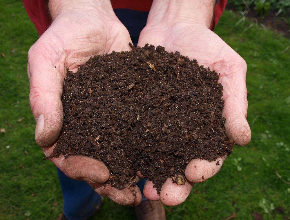 RAPPEL | Distribution de poussière de roches et de copeaux de bois
