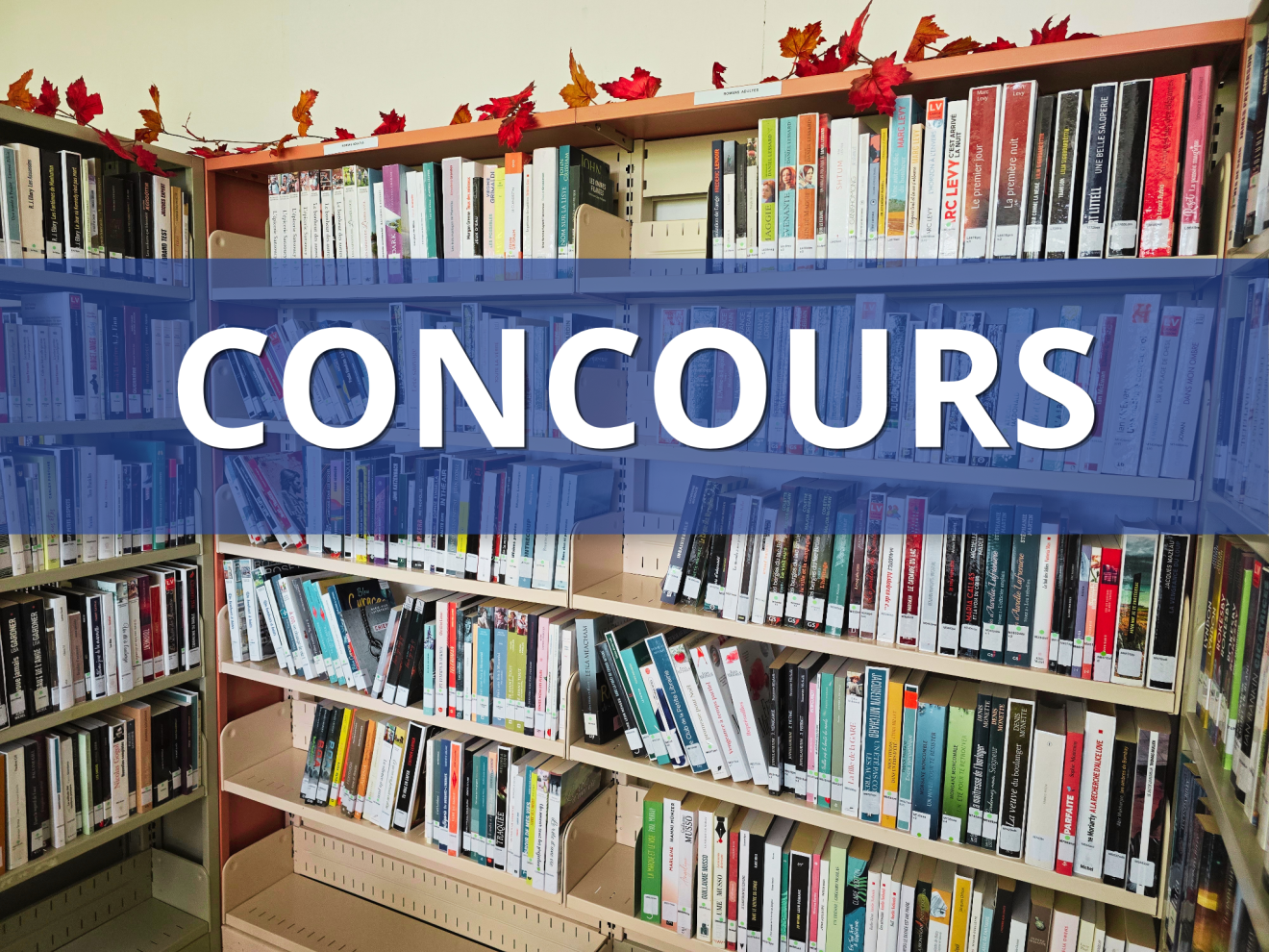 Concours | Visitez la Bibliothèque municipale